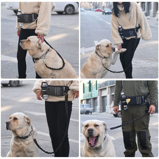 Hands Free Dog Leash Waist Bag Reflective Waist Pouch with Retractable Bungees Poop Bag Dispenser Pouch Adjustable Waist Belt for Training Walking Jogging and Running Your Pet Hands Free Dog Leash Waist Bag Reflective Waist Pouch with Retractable Bungees Poop Bag Dispenser Pouch Adjustable Waist Belt for Training Walking Jogging and Running Your Pet