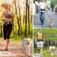 Hands Free Dog Leash Waist Bag Reflective Waist Pouch with Retractable Bungees Poop Bag Dispenser Pouch Adjustable Waist Belt for Training Walking Jogging and Running Your Pet Hands Free Dog Leash Waist Bag Reflective Waist Pouch with Retractable Bungees Poop Bag Dispenser Pouch Adjustable Waist Belt for Training Walking Jogging and Running Your Pet