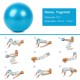 25cm Yoga Ball Anti-burst Thick Stability Ball Mini Pilates Barre Physical Ball 25cm Yoga Ball Anti-burst Thick Stability Ball Mini Pilates Barre Physical Ball
